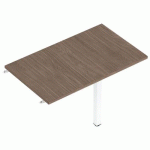 ENIS RETOUR 100 X 60 CM + 1 PIED BLANC PLT. NOYER - MBA