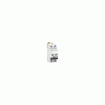 DISJONCTEUR ACTI9 IC60N 2P COURBE C 40A - SCHNEIDER ELECTRIC - A9F77240