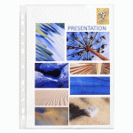 POCHETTES PERFORÉES EXACOMPTA A4 PVC LISSE 8/100E - BOÎTE DE 100
