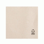 SERVIETTE DOUBLE POINT ECOLABEL 18 G/M² 25X25 CM TISSU OUATE RECYCLÉ MARRON (VENDU PAR 3000)