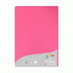 ETUI DE 25 FEUILLES POLLEN 210X297 210G/M2 - ROSE FUCHSIA