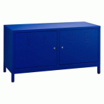 MEUBLE INDUSTRIE PORTES BATTANTES BLEU RAL 5002