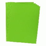 CHEMISE STANDARD 210 G BRUNEAU 24 X 32 CM VERTE - PAQUET DE 100