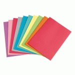 SOUS-CHEMISE STANDARD 80 G BRUNEAU 22 X 31 CM COULEURS ASSORTIES - PAQUET DE 250