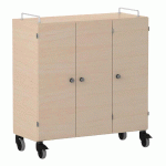 ARMOIRE BASSE SHIFT+ LANDSCAPE MÉLA. 9 CASES - 3 PORTES - ÉRABLE - ROUGE SANG - MANUTAN COLLECTIVITÉS