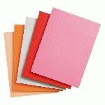 CHEMISES CLASSIQUES 160 G EXACOMPTA 24 X 32 CM COULEURS ASSORTIES - PAQUET DE 100