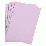 LOT DE 5 - ETIVAL COLOR PAQUET 5F A4 160G - PARME