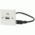 PLASTRON USB 20 CM FEMELLE-A / FEMELLE-A