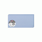 PAQUET DE 25 CARTES PLIÉES POLLEN 106X213MM 210G/M² - BLEU LAVANDE