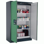 ARMOIRE SÉCURITÉ Q-PEGASUS-90 Q90.195.120.WDAC GRIS/VERT - ASECOS