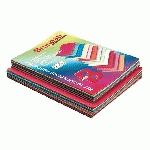 PACK DE 50 CHEMISES 210 G + 100 SOUS-CHEMISES 80 G BRUNEAU COULEURS ASSORTIES