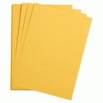 LOT DE 5 - ETIVAL COLOR PAQUET 5F A4 160G - BOUTON D