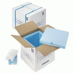 CAISSE CARTON ISOTHERME COOL 2 LITRES