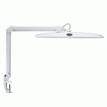 MAUL LAMPE LED WORK DIMMABLE