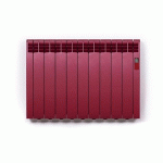 RADIATEUR ÉLECTRIQUE À FLUIDE CALOPORTEUR - 1250W - SÉRIE D - BORDEAUX ROINTE