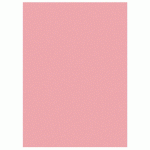 RAJA CHEMISES DOSSIERS 220G RECYCLÉES - 24 X 32 CM - ROSE - LOT DE 100