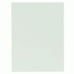 CHEMISE DOSSIER 1 RABAT LATÉRAL RAINEX 24 X 32 CM VERTE - PAQUET DE 50