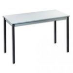 SODEMATUB TABLE POLYVALENTE RECTANGULAIRE 140 X 70 CM GRIS/GRIS