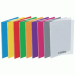 LOT DE 10 - CAHIER CONQUERANT POPLYPROPYLENE INDECHIRABLE ET LAVABLE PAPIER VELIN EXTRA 24X32 CM 96 PAGES 5X5 PIQURE