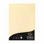 LOT DE 2 - ETUI DE 50 FEUILLES POLLEN 210X297MM 120G/M2 - CHAMOIS