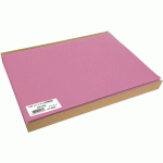 SET DE TABLE 30X40 CM NON TISSÉ SPUNDON ROSE - COGIR
