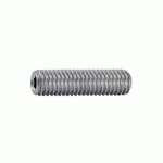 VIS MÉTAUX SANS TÊTE BOUT PLAT EMPREINTE 6 PANS CREUX - FILETAGE TOTAL - 4X6 B100 ACTON