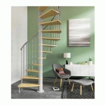 Escaliers spiraux / hélicoïdaux