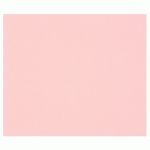 TULIPE RAME 25F 50X65CM 160G - ROSE PÂLE