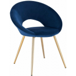 WOLTU 1 X CHAISE DE SALLE À MANGER SIÈGE BIEN REMBOURRÉ EN VELOURS. CHAISE DE CUISINE PIEDS EN MÉTAL. BLEU