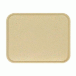 LOT DE 20 - PLATEAU BASIK 46 X 36 CM - BEIGE FUMÉ