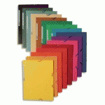 CHEMISE EXACOMPTA 3 RABATS ET ELASTIQUE - CARTE LUSTREE 5/10E - 400 G - FORMAT 24 X 32CM - COLORIS ASSORTIS - LOT DE 50
