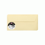 PAQUET DE 20 ENVELOPPES POLLEN 110X220MM 120G/M² - CHAMOIS - LOT DE 4