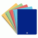 LOT DE 5 - CAHIER SPIRALE ACIDULÉ BRUNEAU 17 X 22 CM PETITS CARREAUX 100 PAGES