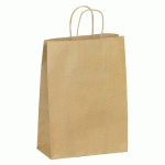 SAC KRAFT BRUN POIGNÉES TORSADÉES QUALITÉ 100 G/M² - 50 SACS