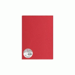 LOT DE 10 - PAQUET DE 5 FEUILLES POLLEN 210X297MM 120G/M2 - ROUGE GROSEILLE