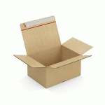 CAISSE CARTON BRUNE SIMPLE CANNELURE MONTAGE INSTANTANÉ FERMETURE ADHÉSIVE RAJA 31X23X16 CM