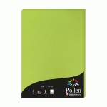 ETUI DE 50 FEUILLES POLLEN 210X297MM 120G/M2 - VERT MENTHE - LOT DE 3