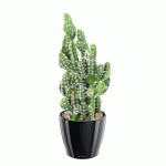 CACTUS ARTIFICIEL 35 CM