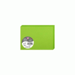 LOT DE 2 - PAQUET DE 25 CARTES PLIÉES POLLEN 110X155MM 210G/M2 - VERT MENTHE