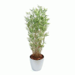 BAMBOU ARTIFICIEL D