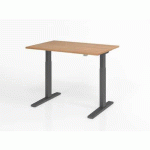 BUREAU ASSIS-DEBOUT SÉRIE XMKA-120X80CM-NOYER-GRAPHITE - HAMMERBACHER