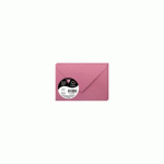 LOT DE 2 - PAQUET DE 20 ENVELOPPES POLLEN 75X100MM 120G/M² - ROSE HORTENSIA