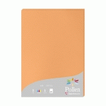 ETUI DE 25 FEUILLES POLLEN 210X297MM 210G/M2 - CLÉMENTINE - LOT DE 2