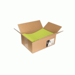 CARTON DE 200 ENVELOPPES POLLEN 229X324MM 120G/M² - VERT BOURGEON
