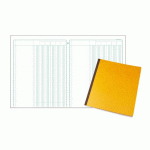 REGISTRE 6 COLONNES EXACOMPTA 4060, 25 X 32 CM 80 PAGES