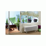 RADIATEUR ÉLECTRIQUE ACOVA - VUELTA PLINTHE 1000W SANS RÉGULATION - INERTIE FLUIDE - TMC3-100-100-SR