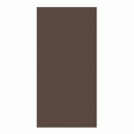 SERVIETTE DOUBLE POINT ECOLABEL PLIAGE 1/8 18 G/M² 40X40 CM TISSU CHOCOLAT (VENDU PAR 600)