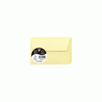 LOT DE 3 - PAQUET DE 20 ENVELOPPES POLLEN 90X140MM 120G/M2 - CANARI