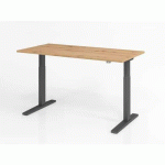 BUREAU ASSIS-DEBOUT SÉRIE XMKA-160X80CM-CHÊNE AMBRÉ-GRAPHITE - HAMMERBACHER