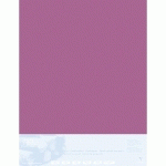 PASTELMAT CONTRECOLLÉ 5F 70X100CM - LIE DE VIN